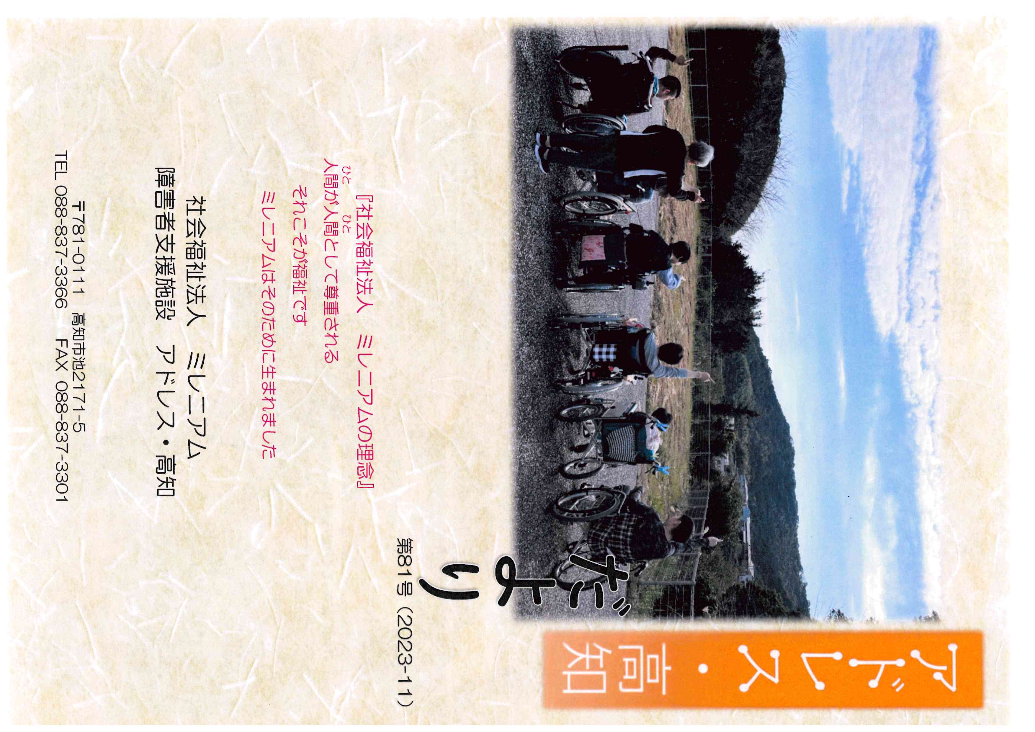 2023年11月